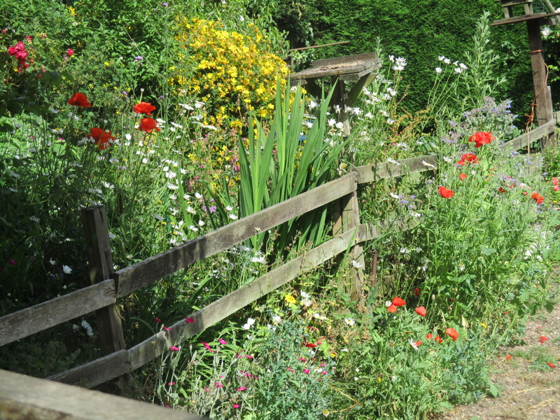 flowers